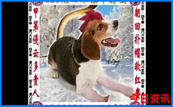 六安一日游必去的景点